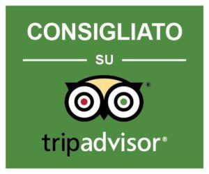 Logo_trip_IT_